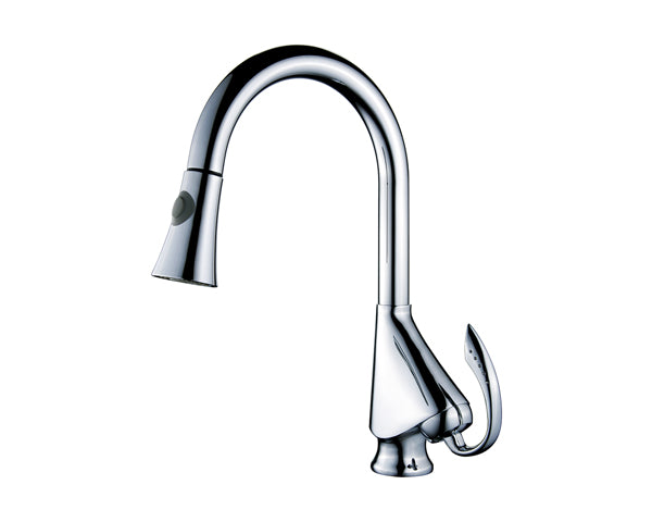 Single Pull Down Kitchen Faucet