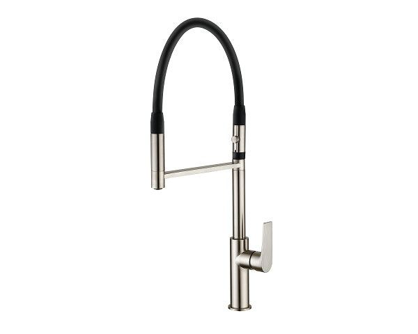 Single Handle Pull-Out Kitchen Faucet with 2 Spouts