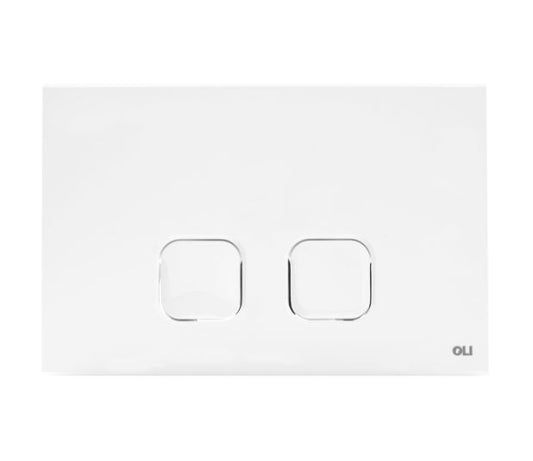 Plain Flush Plate