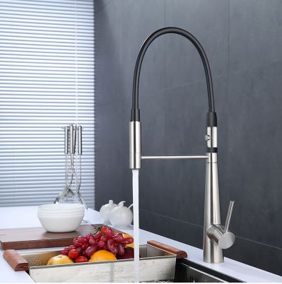 Single Handle Pull-Out Kitchen Faucet with 2 Spouts
