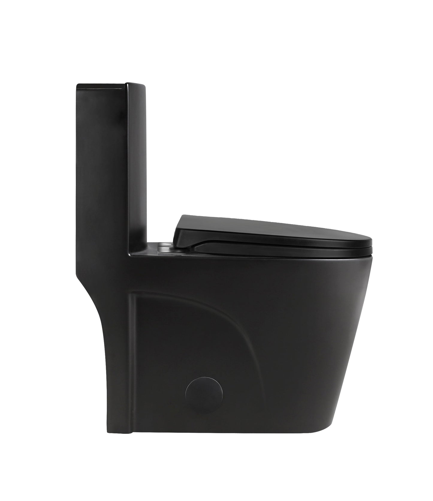 Matte Black One-piece Dual-Flush Toilet