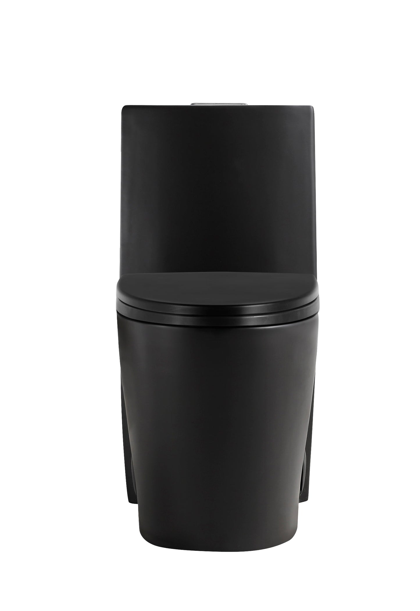 Matte Black One-piece Dual-Flush Toilet