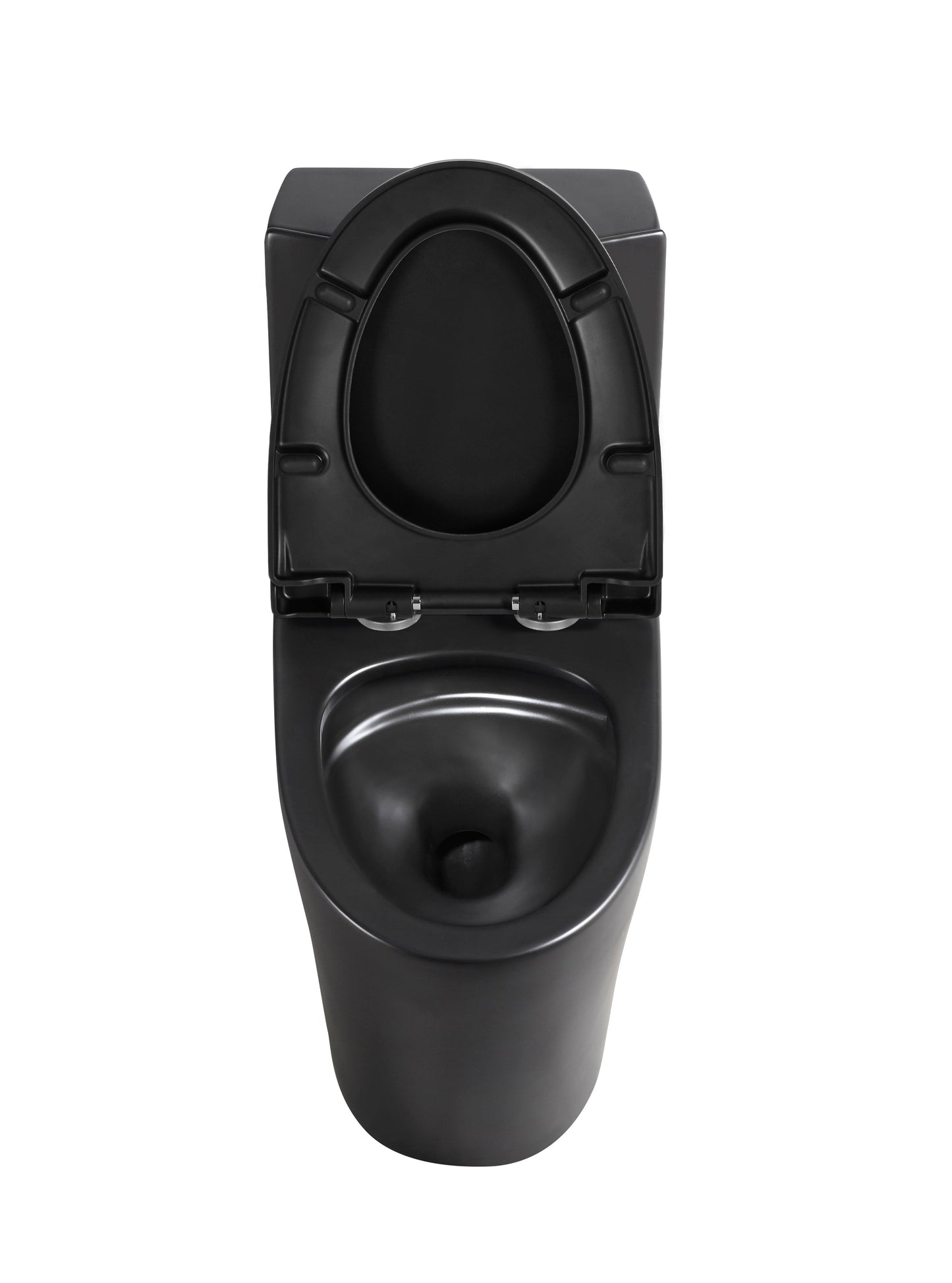 Matte Black One-piece Dual-Flush Toilet