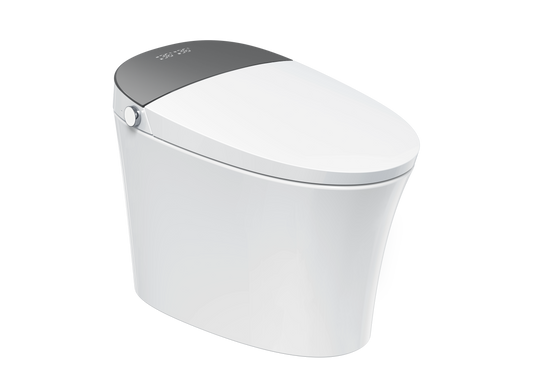 Smart/Electric Toilet Bidet Seat