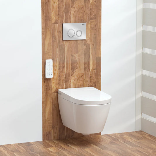 Toilet Bidet Seat & Tank
