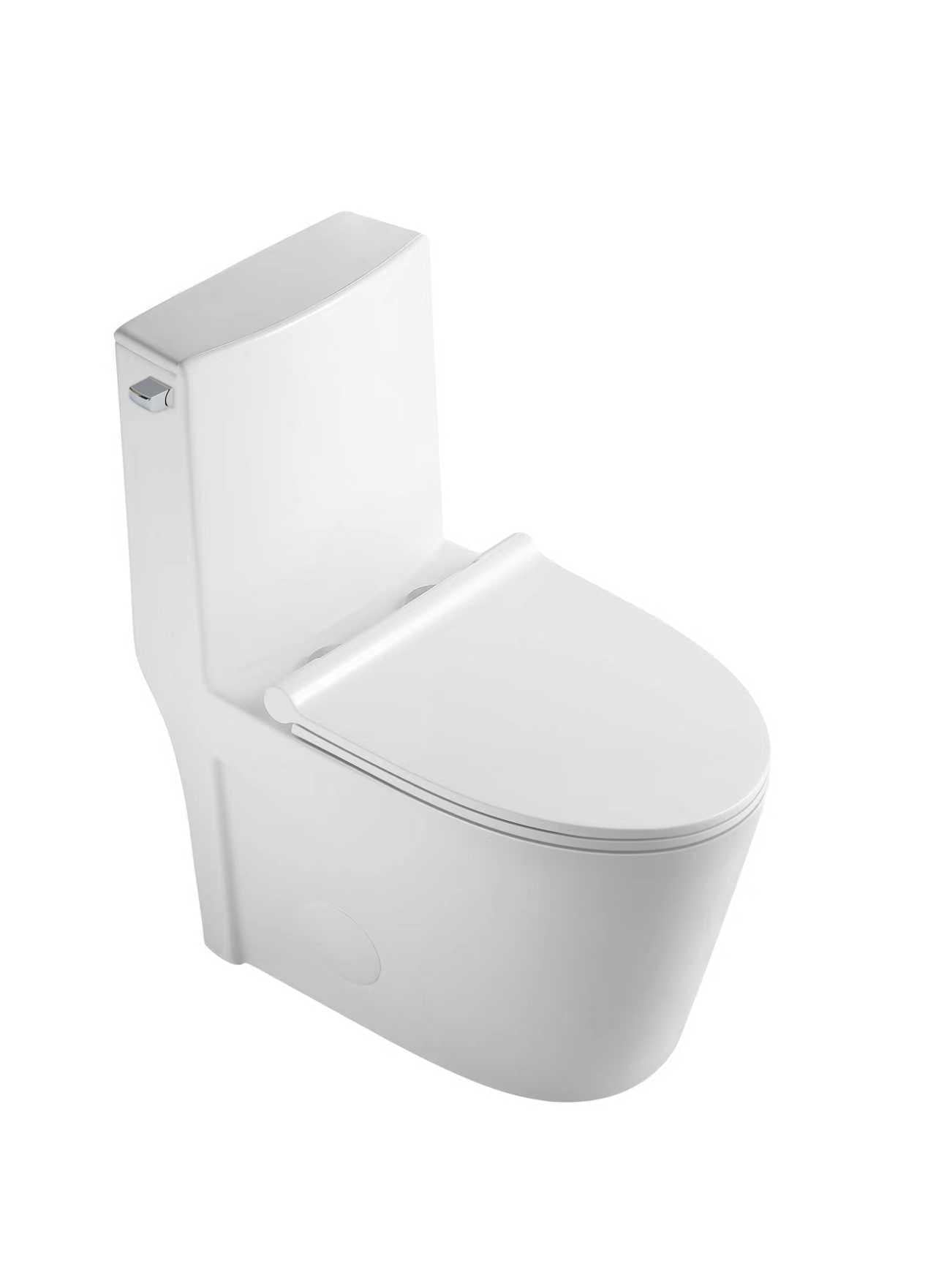 12in One-Piece Toilet with Single Flush on the Side