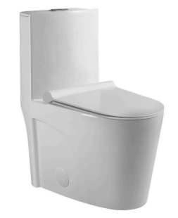 One-piece Dual-Flush Toilet