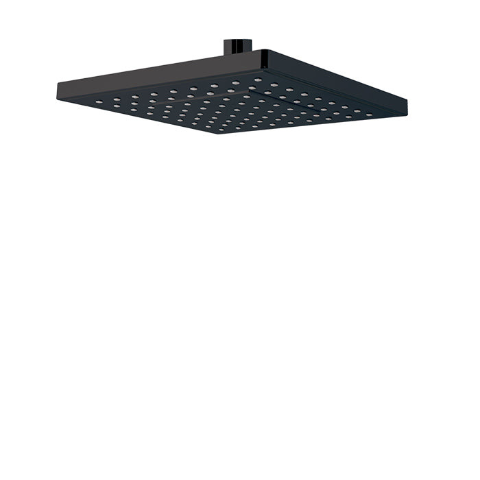 8" x 8" rainhead